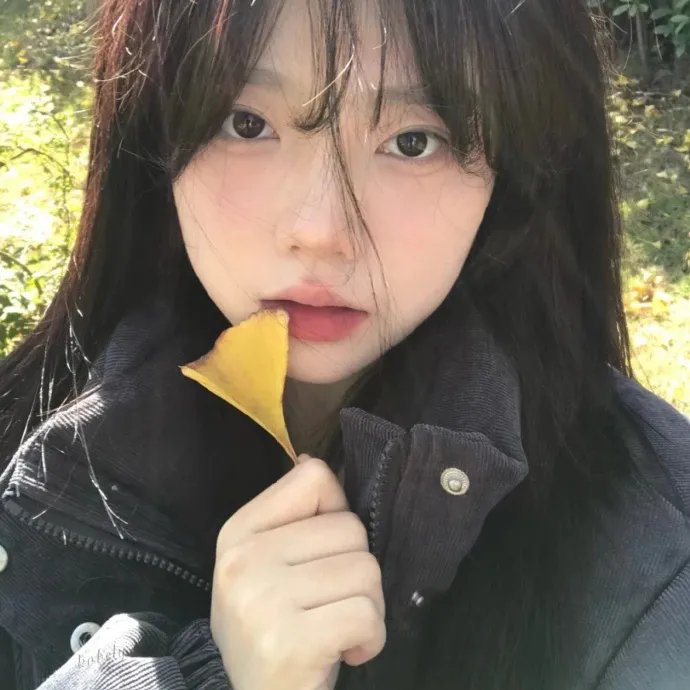 母猫