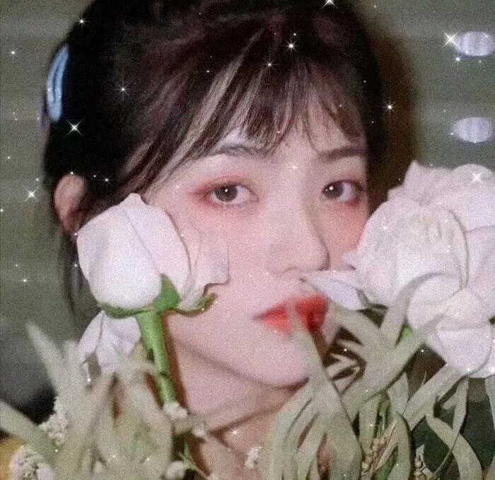 林中绮谭